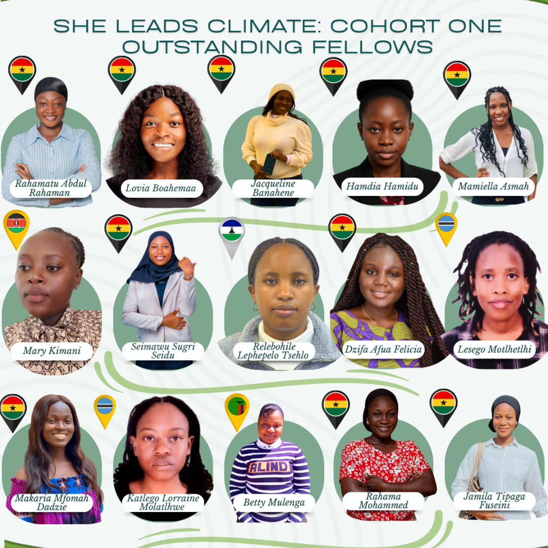 She Leads Climate – Outstanding Fellows 2025